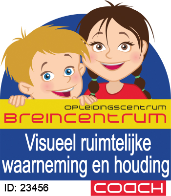 Visueel ruimtelijke waarneming en houding Coach